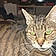 Minette