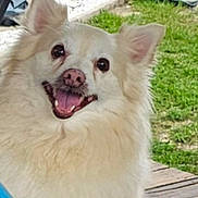 Bentley is registered to the contest to win money with this photo: