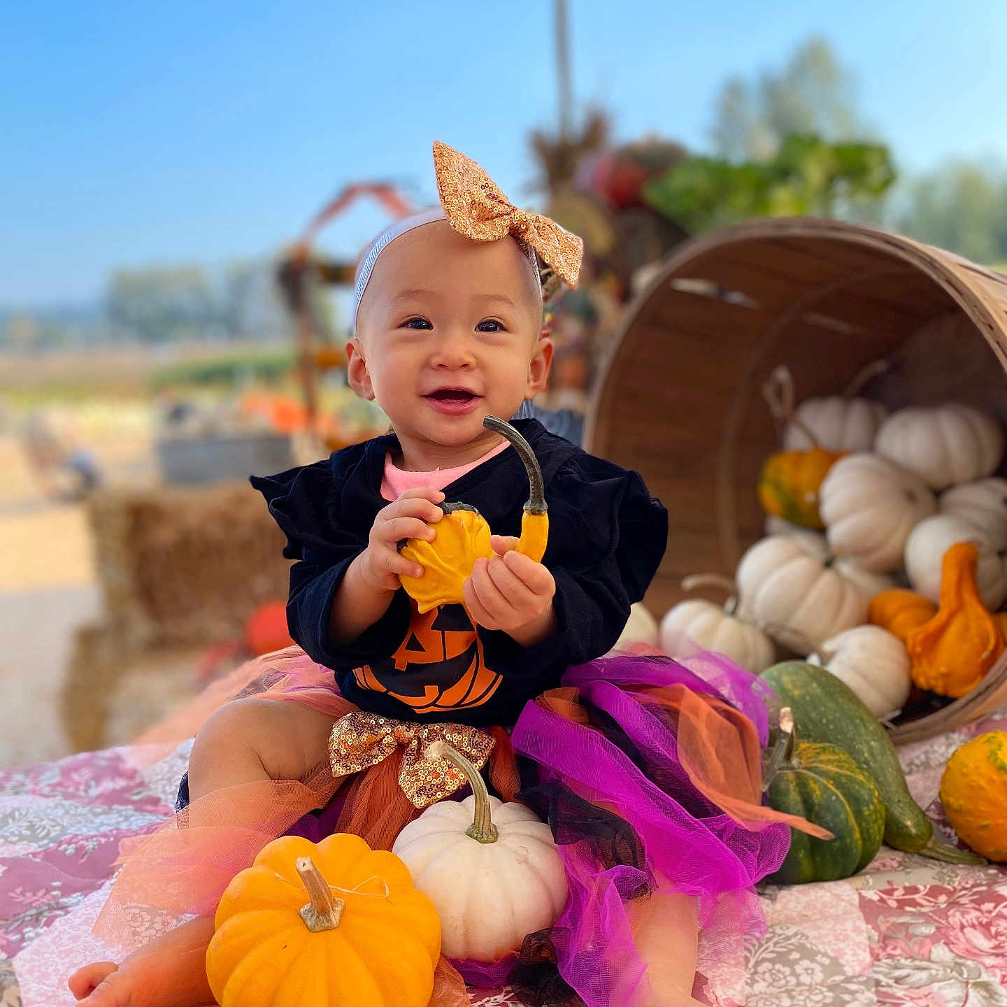 Minato joined the competition — help win amazing prizes! architecture, baby, building, clothing, costume, dress, face, food, happy, head, person, photography, plant, portrait, produce, pumpkin, sitting, smokepipe, squash, vegetable