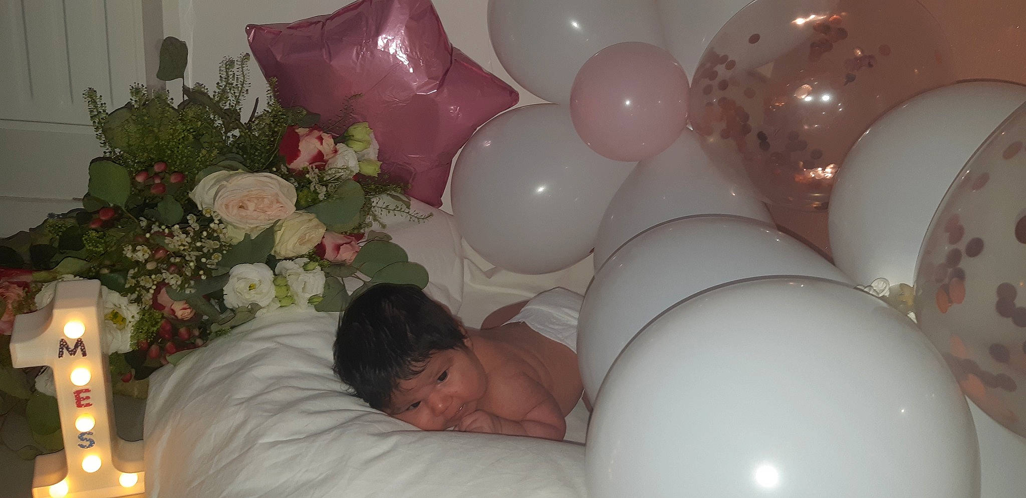 Paloma Violette a rejoint le concours — aidez-le/la à gagner de superbes lots ! baby, balloon, ceiling, circle, comfort, cut_flowers, decoration, event, flower, fun, lighting_accessory, linens, magenta, party_supply, person, petal, pink, room, rose, rose_family