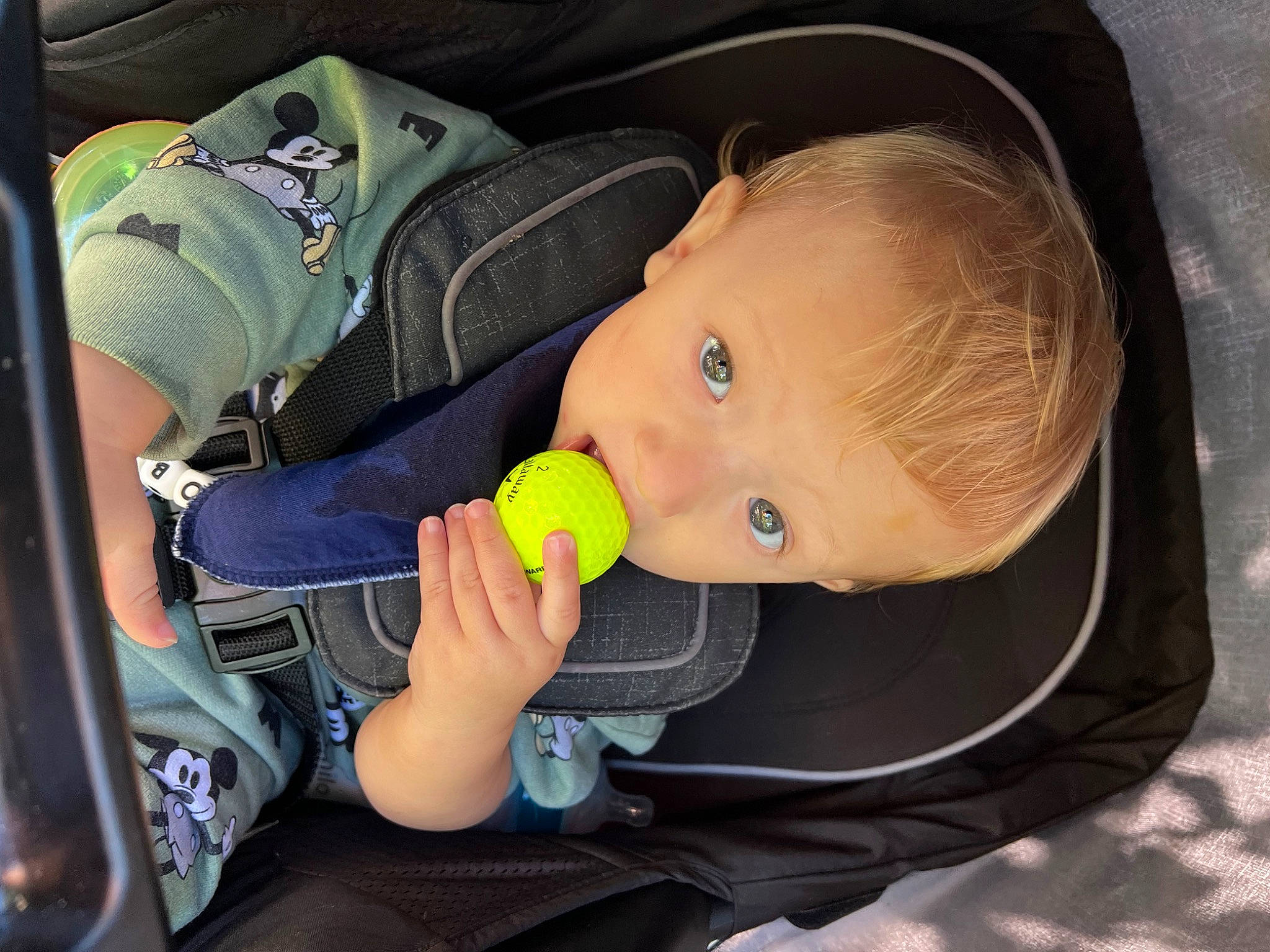 Robert is registered to the contest to win money with this photo: auto_part, baby, baby_carriage, baby_in_car_seat, baby_products, baby_safety, baby_toddler_clothing, baby_toys, bag, car_seat, cheek, child, comfort, infant_bed, nail, person, sitting, steering_wheel, thumb, toddler