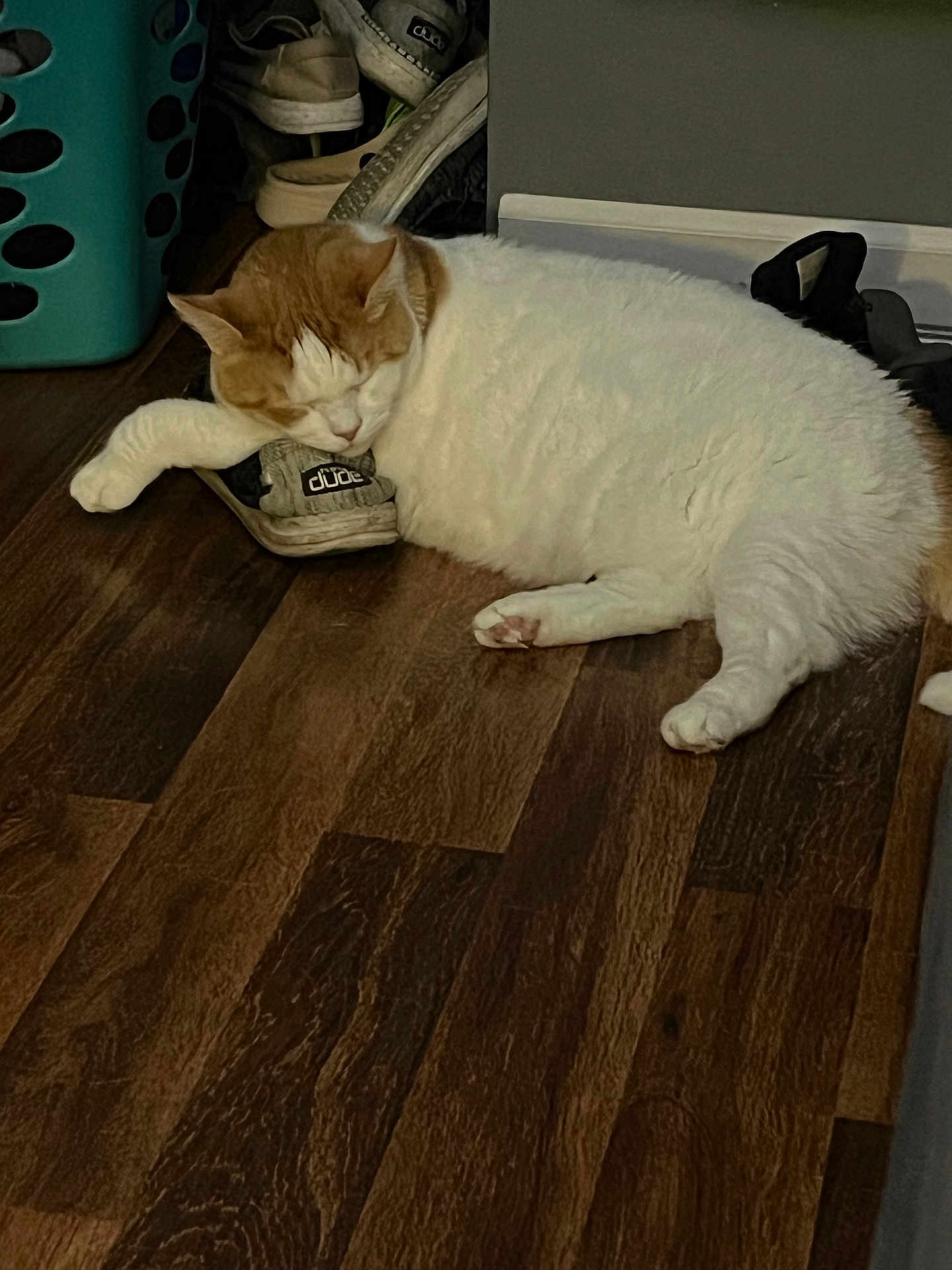 Simba