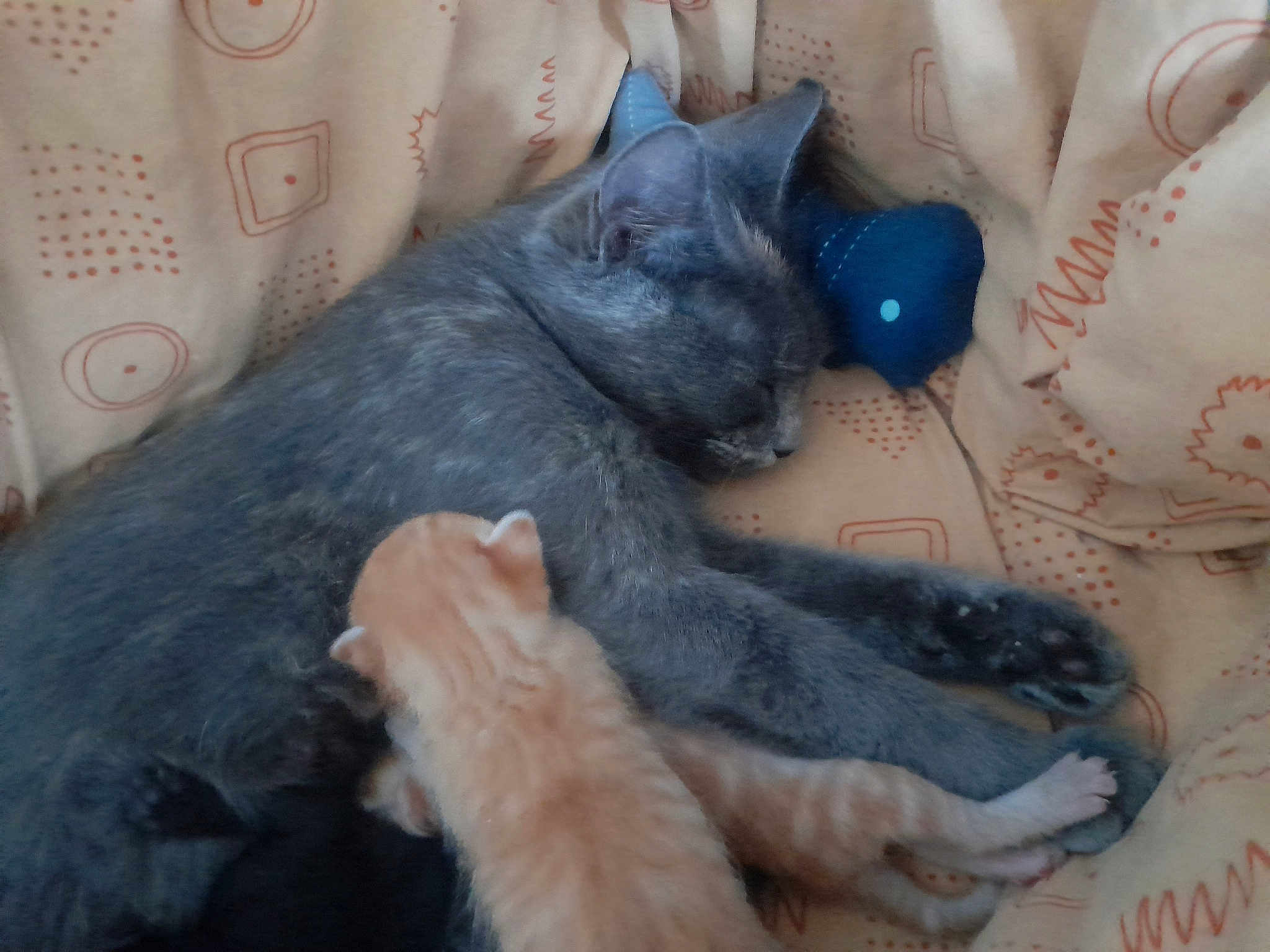 Louna