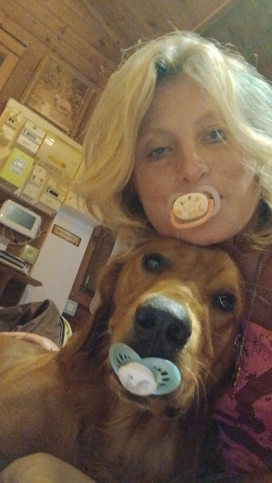 Mougenel Virginie a rejoint le concours — aidez-le/la à gagner de superbes lots ! animal, blonde_hair, close_up, companion, cute, dog, face, friendship, fun, golden_retriever, humor, indoor, pacifier, person, pet, portrait, relaxed, selfie, woman, wooden_wall