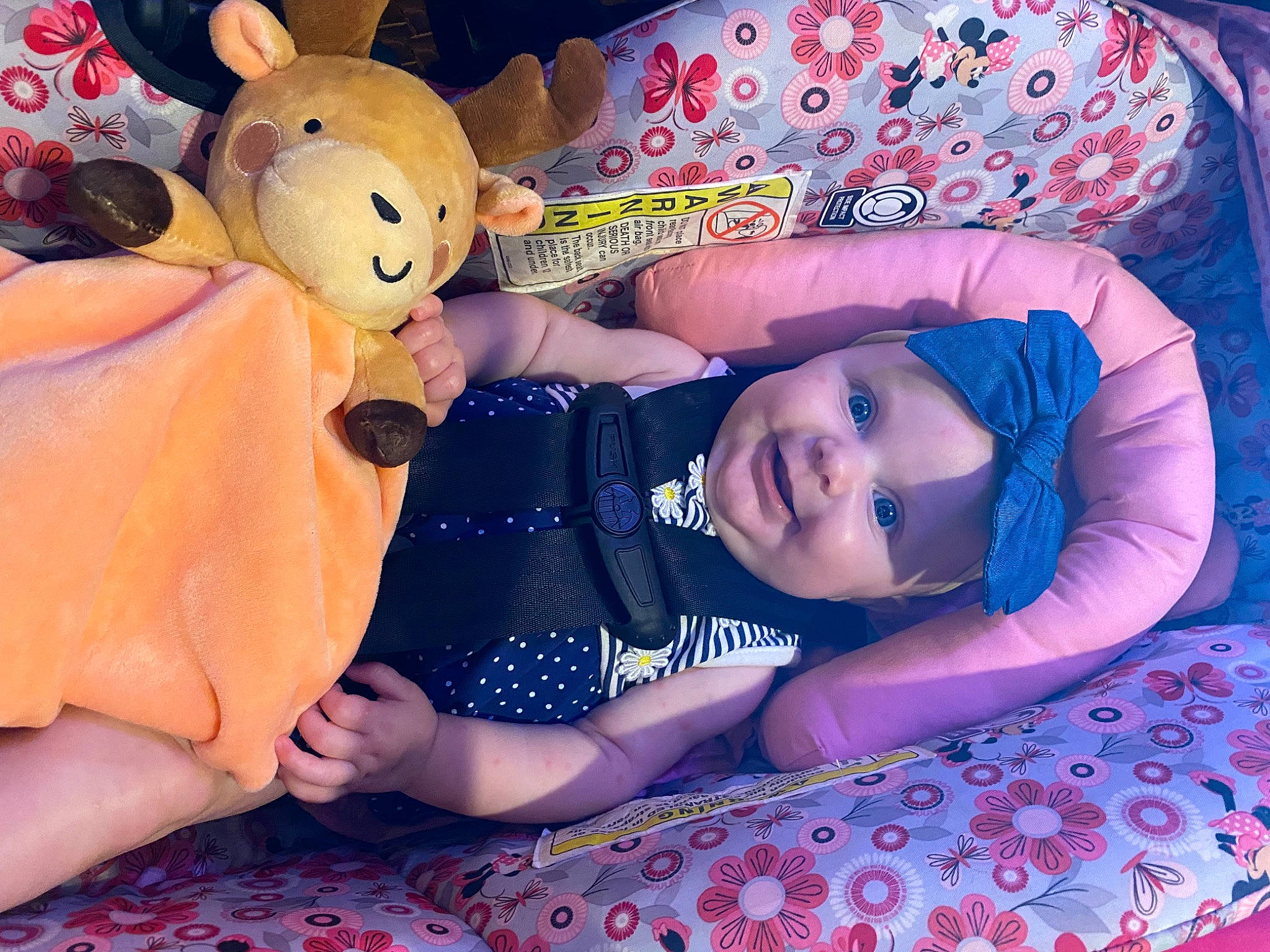 Brynnleigh is registered to the contest to win money with this photo: baby, baby_toddler_clothing, child, comfort, eye, finger, fun, gesture, hand, happy, hat, headwear, joy, person, pink, play, purple, skin, stuffed_toy, teddy_bear