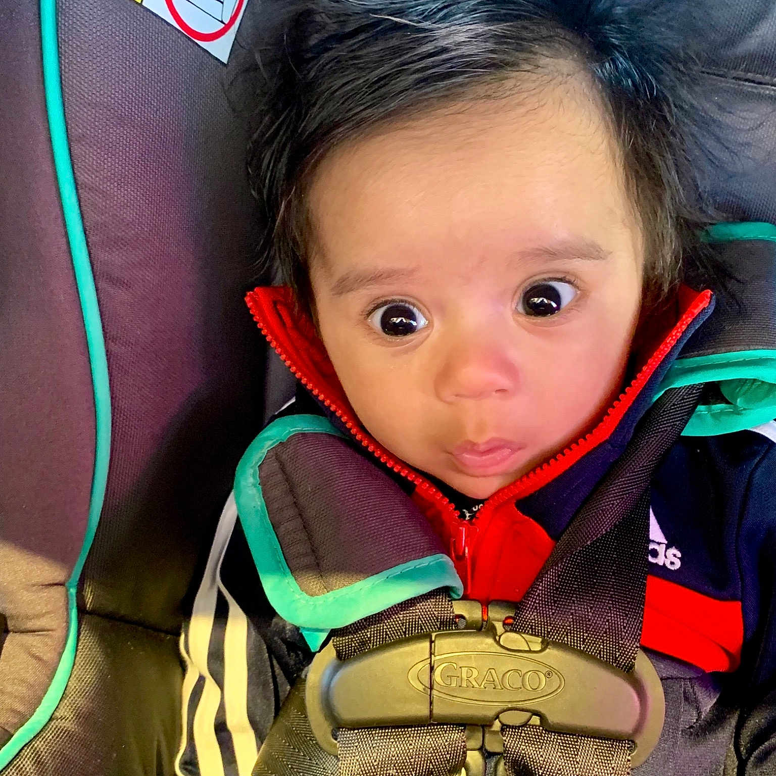 Edison is registered to the contest to win money with this photo: black_hair, child, eye, girl, human, person, product, smile, toddler