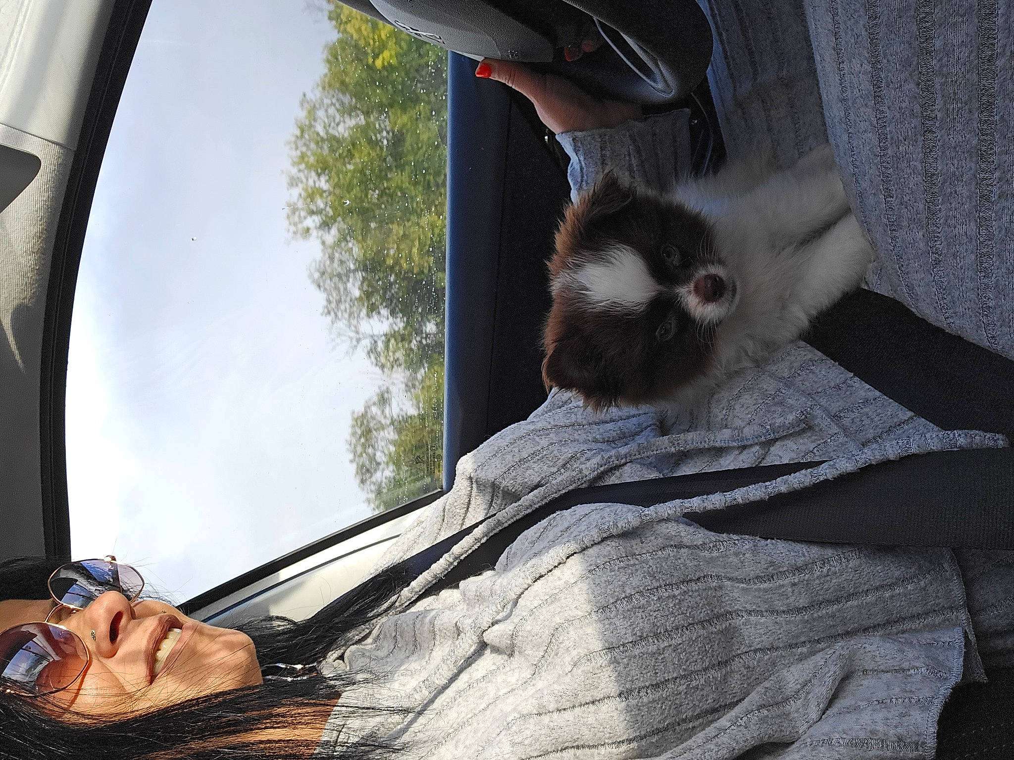 Thayná participe au concours pour gagner de l'argent avec cette photo : auto_part, automotive_exterior, automotive_window_part, carnivore, fawn, felidae, fur, human_leg, mammal, plant, sky, small_to_medium_sized_cats, sunglasses, tail, tints_and_shades, tree, vehicle_door, whiskers, window, windshield