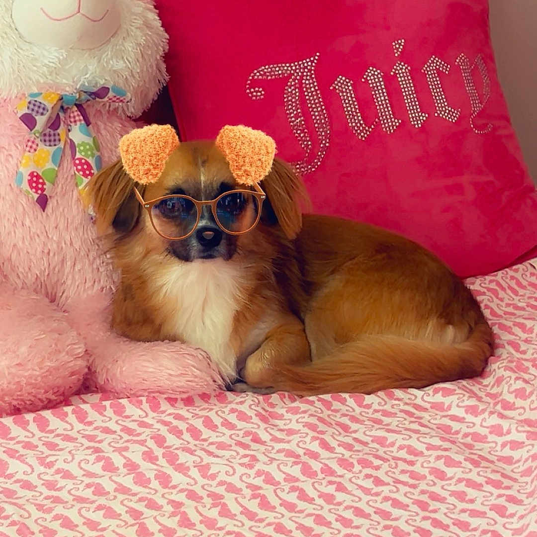 Luna