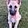 Sadie