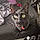 Salem