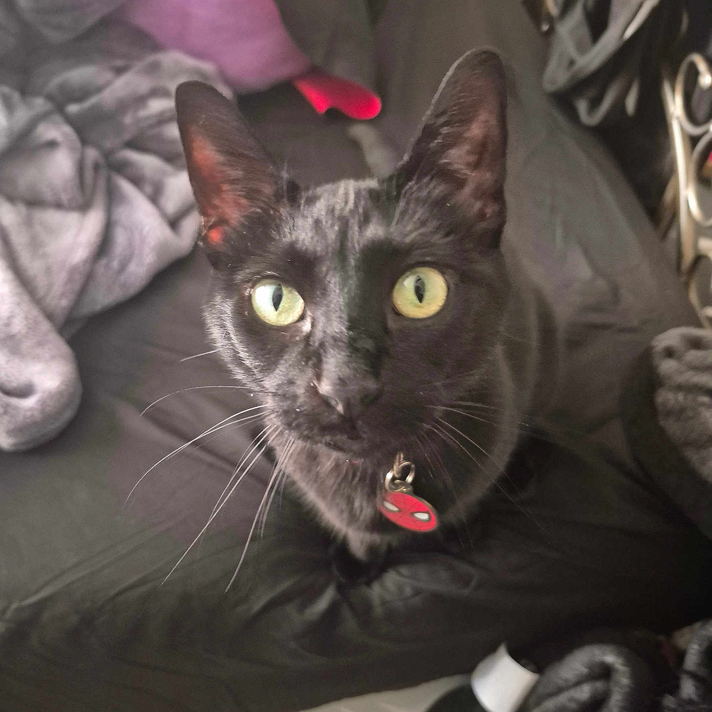 Salem