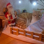 Paillette a rejoint le concours — aidez-le/la à gagner de superbes lots ! cat, tabby_cat, christmas_tree, santa_claus_figurine, holiday_decor, ornaments, lights, wooden_floor, indoor, festive, relaxed, feline, decorations, christmas, cozy, warm_lighting, closeup, animal, pet, celebration