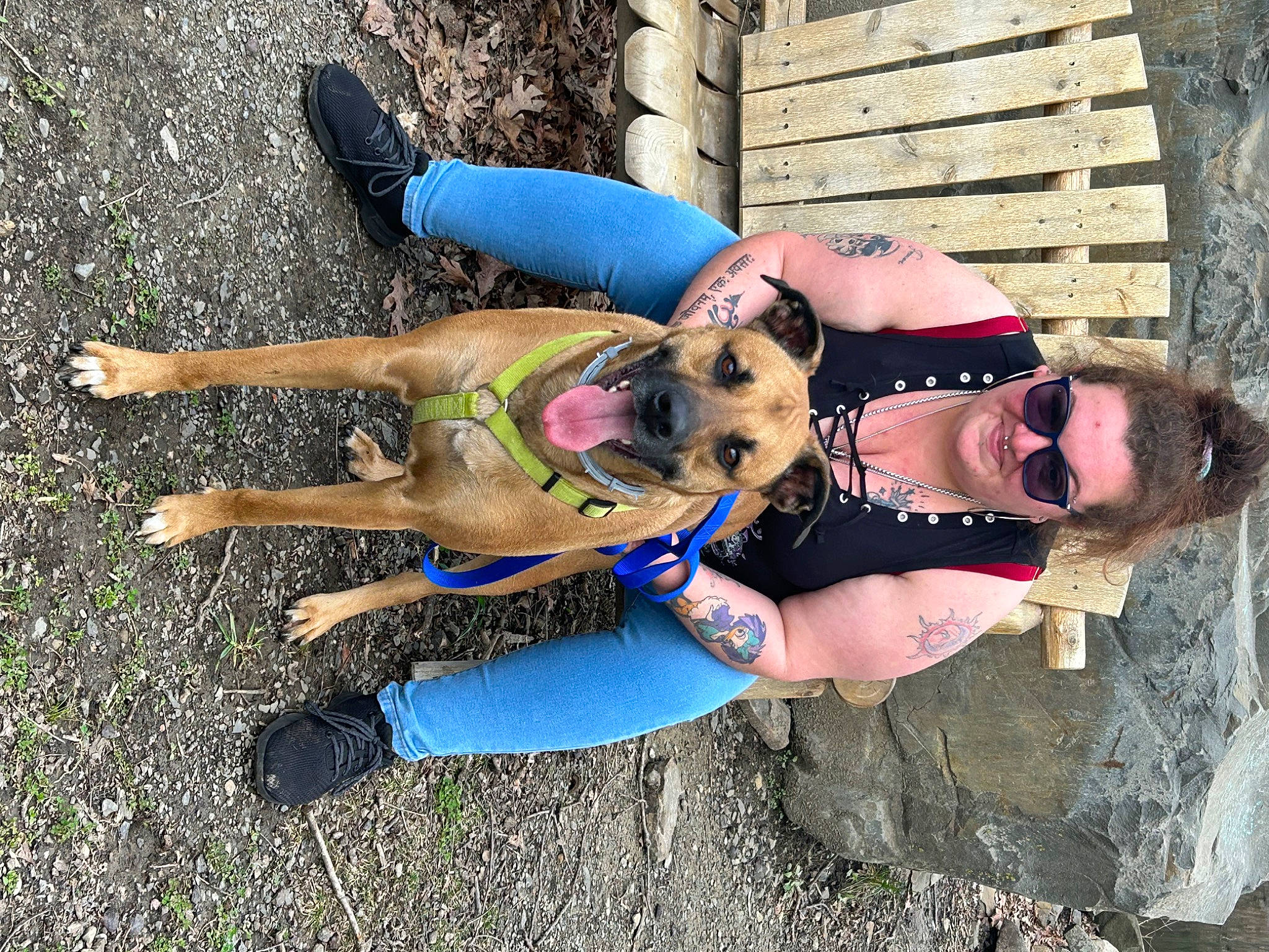 Mordecai is registered to the contest to win money with this photo: abdomen, carnivore, chest, dog, dog_breed, eyewear, fawn, fun, grass, happy, human_leg, knee, leisure, recreation, shoe, sporting_group, sunglasses, thigh, trunk, wrist