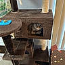 Sassey is registered to the contest to win money with this photo: animal, brown, cardboard_house, cat, cat_tree, cozy, curiosity, domestic, floor, furniture, home, indoor, light, pet, pet_toy, playful, resting, scratching_post, tabby_cat, window_blinds