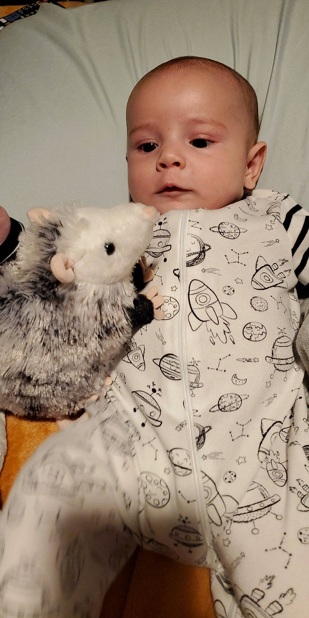 Cillian joined the competition — help win amazing prizes! baby, baby_toddler_clothing, child, collar, comfort, eyelash, fur, happy, head, iris, linens, nose, pattern, person, plush, skin, sleeve, stuffed_toy, textile, toddler