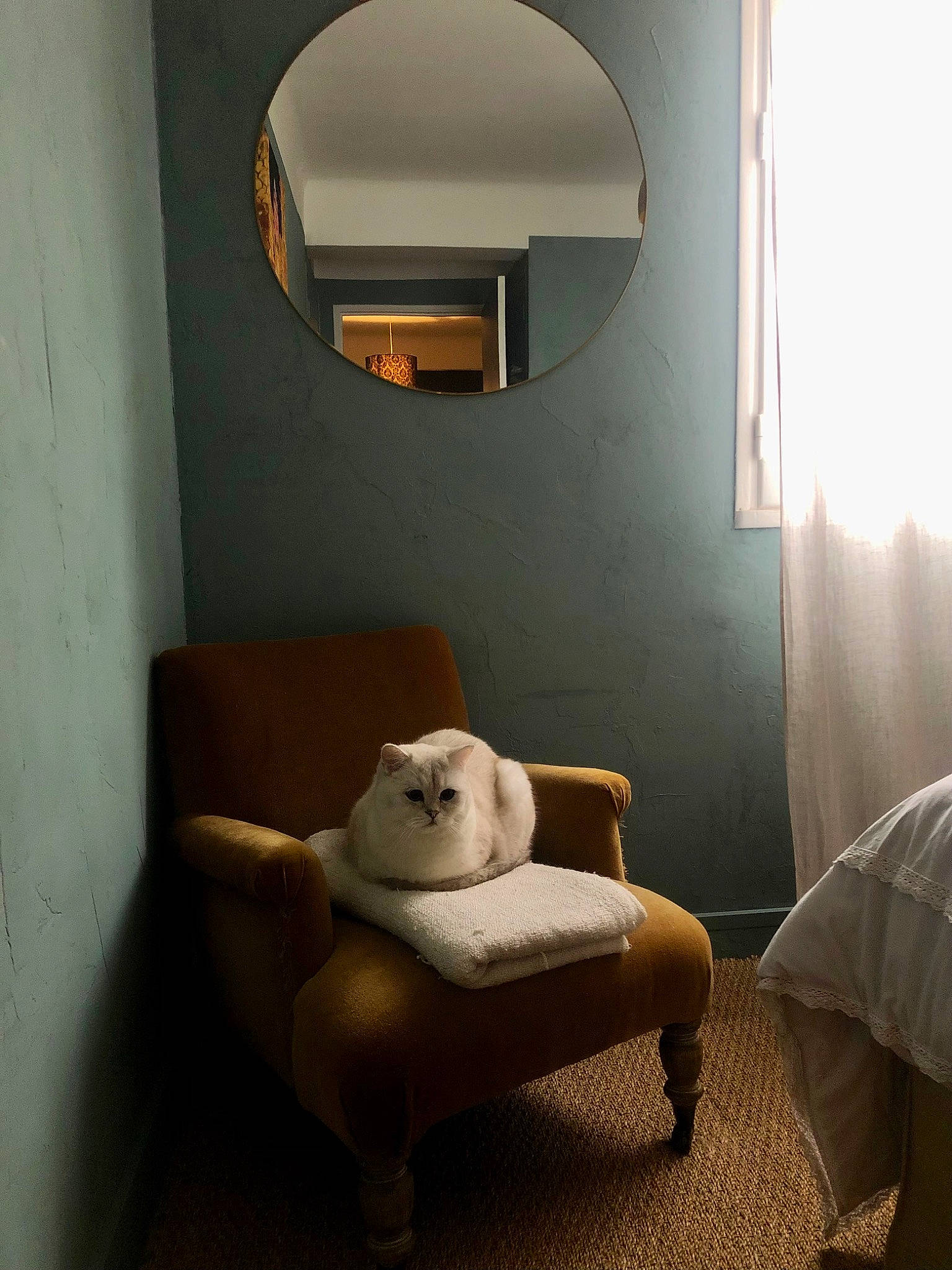 Achille a rejoint le concours — aidez-le/la à gagner de superbes lots ! armrest, building, ceiling, comfort, floor, flooring, furniture, hardwood, house, interior_design, linens, living_room, mirror, plaster, room, shade, textile, tints_and_shades, wall, wood