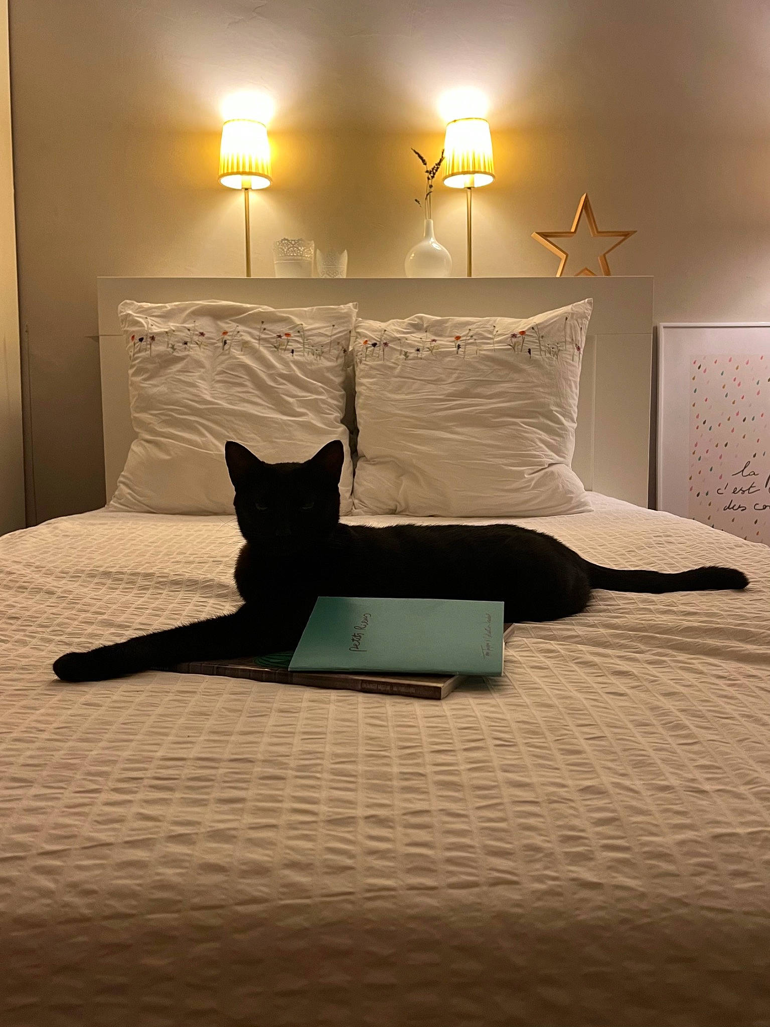 Mistic participe au concours pour gagner de l'argent avec cette photo : bed, bed_frame, brown, building, comfort, floor, flooring, furniture, grey, hardwood, house, interior_design, lamp, light, lighting, shade, textile, tints_and_shades, wall, wood