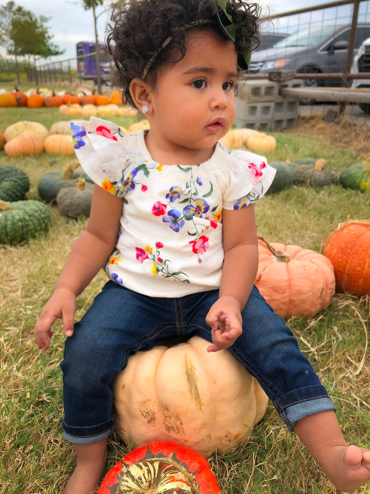Adrienne is registered to the contest to win money with this photo: abdomen, calabaza, child, cucurbita, grass, person, plant, play, pumpkin, sitting, squash, toddler, vegetable, winter_squash