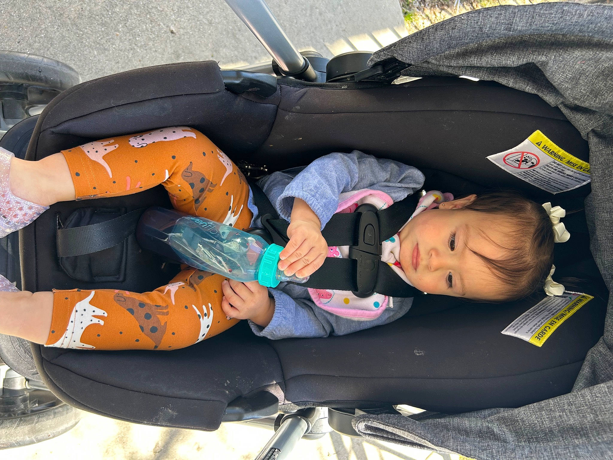 Nahomi joined the competition — help win amazing prizes! baby, baby_carriage, baby_products, baby_toddler_clothing, bag, baggage, child, comfort, lap, luggage_and_bags, orange, person, sitting, thigh, toddler