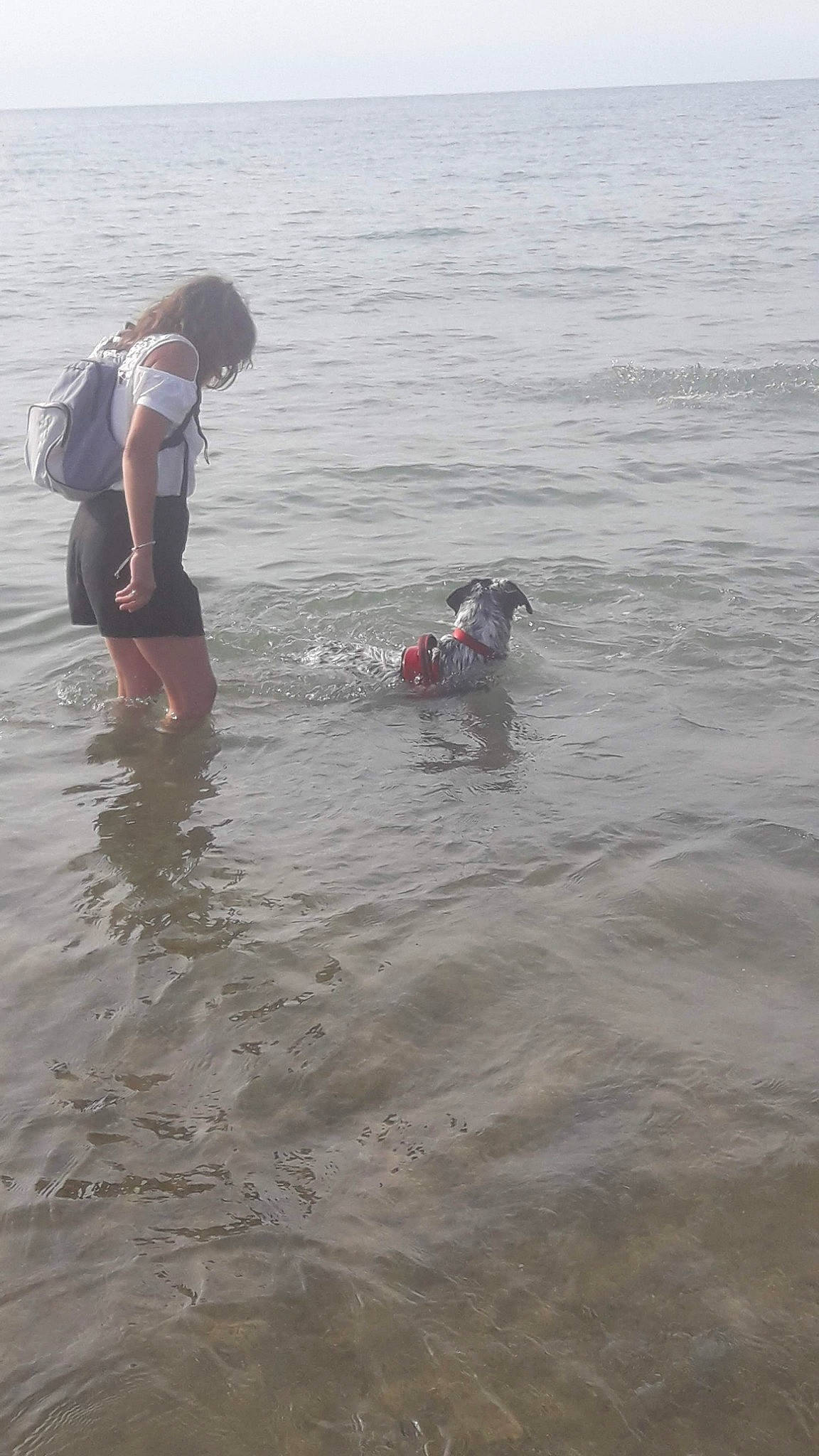 Jaïka participe au concours pour gagner de l'argent avec cette photo : fun, ocean, open_water_swimming, recreation, sea, sporting_group, swimming, vacation, water, wave