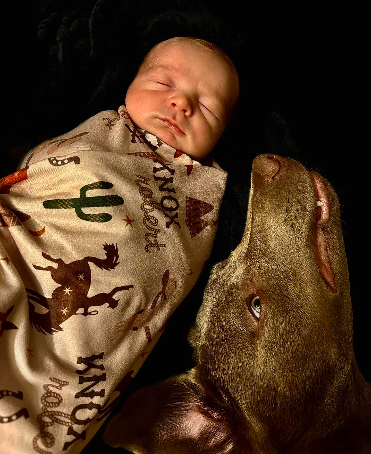 Knox is registered to the contest to win money with this photo: baby, bedtime, child, comfort, darkness, flesh, fur, linens, nose, person, portrait_photography, sleeve, terrestrial_animal, toddler, visual_arts, working_animal, wrinkle