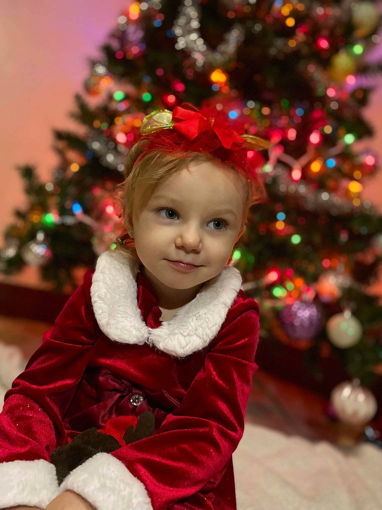 Legacy joined the competition — help win amazing prizes! beauty, cheek, christmas, christmas_decoration, christmas_ornament, christmas_tree, eye, face, facial_expression, happy, holiday_ornament, human_body, joy, outerwear, person, photograph, plant, sleeve, smile, toddler