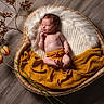 newborn, baby, sleeping, basket, wicker, fur, blanket, yellow, wooden_floor, flowers, cozy, peaceful, infant, cute, resting, portrait, soft, decor, indoors, warm
