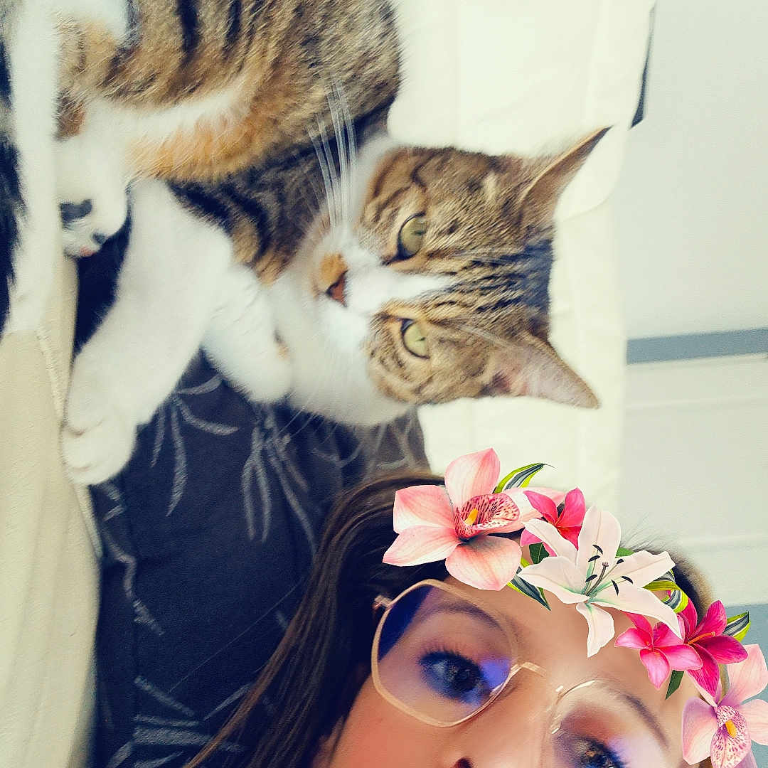 Tina participe au concours pour gagner de l'argent avec cette photo : casual, cat, comfort, couch, curious, face, filter, flower_crown, fur, glasses, glasses_reflection, home, indoor, pet, portrait, relaxed, selfie, tabby_cat, whiskers, woman