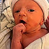 newborn, baby, infant, child, portrait, face, eyes, hat, beanie, blanket, swaddled, hospital, bedding, hand, finger, nibbling, indoors, close_up, cozy, photography