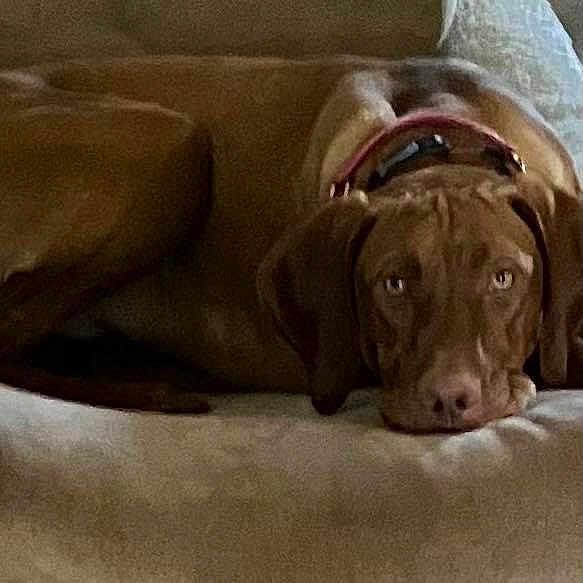 Vinny