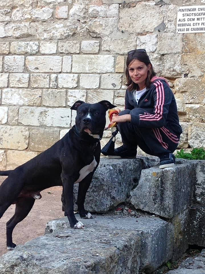 Nox participe au concours pour gagner de l'argent avec cette photo : adventure, carnivore, collar, companion_dog, dog, dog_breed, dog_collar, fawn, formal_wear, fun, guard_dog, human_leg, leash, leisure, mammal, recreation, sitting, street_fashion, thigh, working_animal