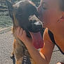dog, person, outdoor, sunlight, affection, tongue_out, kiss, happy, animal, pet, pavement, fence, ear, hand, shadow, nature, casual_clothing, close_up, summer, smile