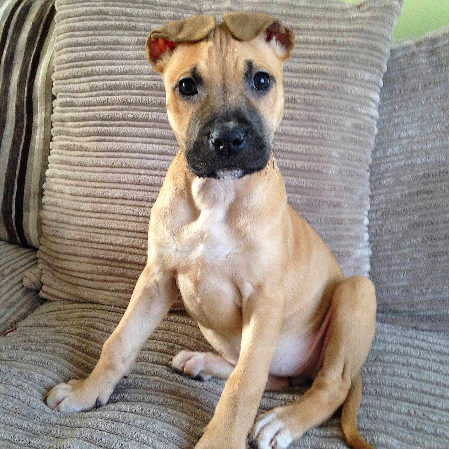 Bailey