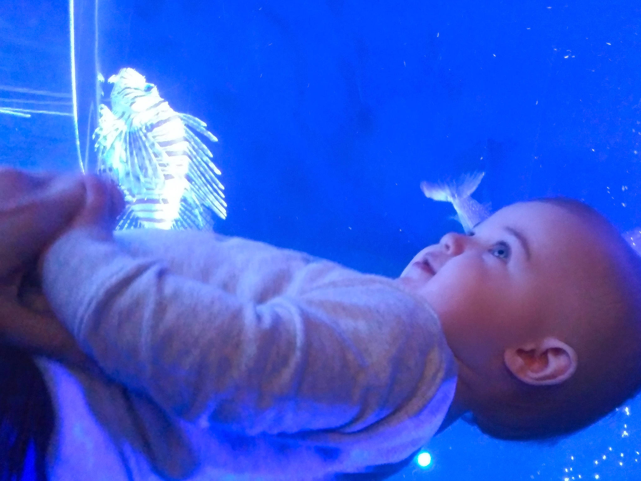 Brookelynn joined the competition — help win amazing prizes! blue, cloud, darkness, electric_blue, event, flash_photography, fun, gesture, happy, marine_biology, night, person, plant, purple, sky, space, toddler, tree, underwater, water