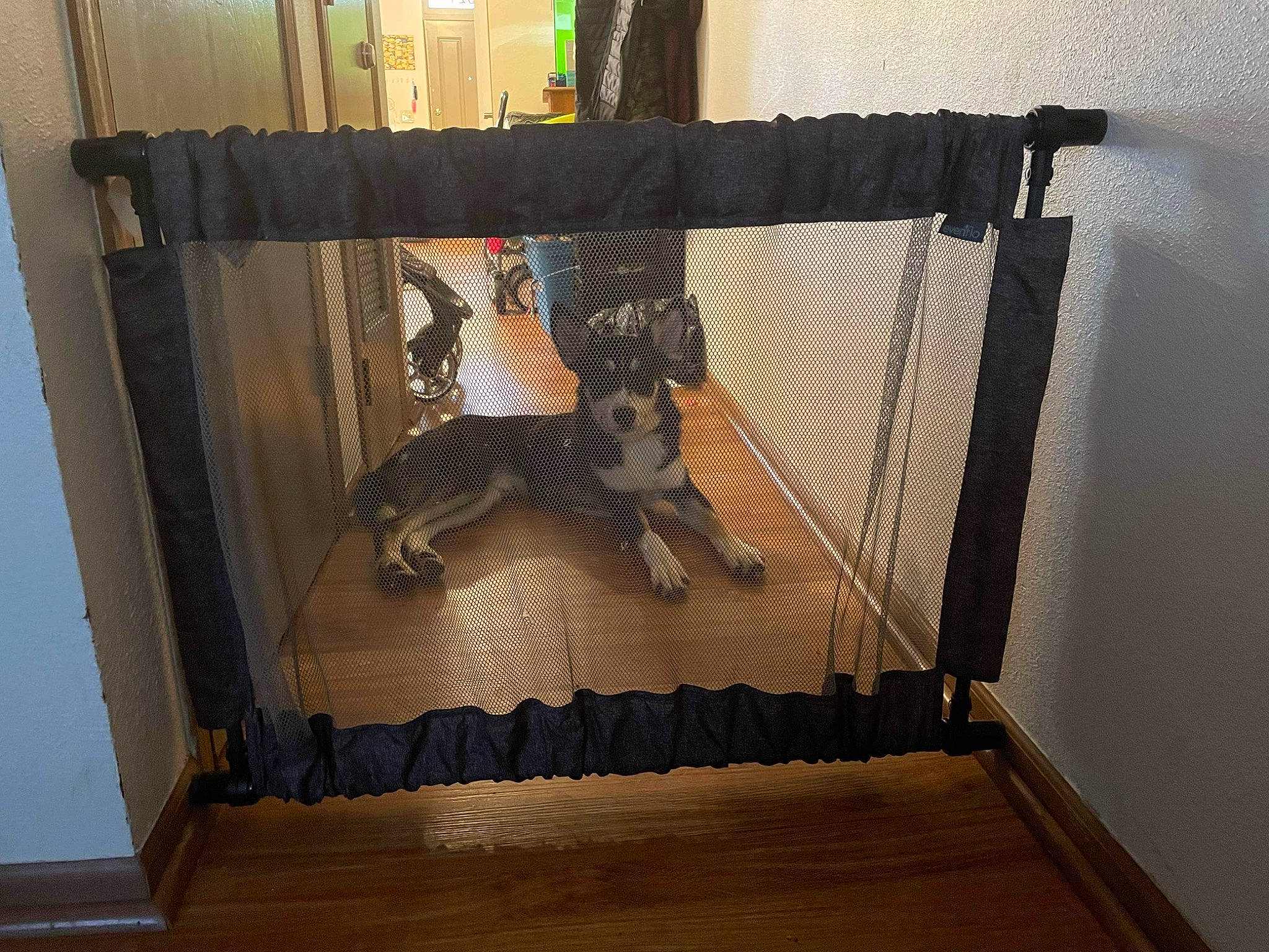 Dave is registered to the contest to win money with this photo: art, door, floor, flooring, handrail, hardwood, laminate_flooring, metal, pattern, plywood, rectangle, room, shadow, stairs, tail, visual_arts, wood, wood_flooring, wood_stain, woven_fabric