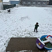 Tyler joined the competition — help win amazing prizes! backyard, basketball_hoop, child, cloudy_sky, dog, fence, footprints, garage, grass, houses, jacket, outdoor, pants, pet, plastic_pool, play, snow, snow_covered, toys, winter