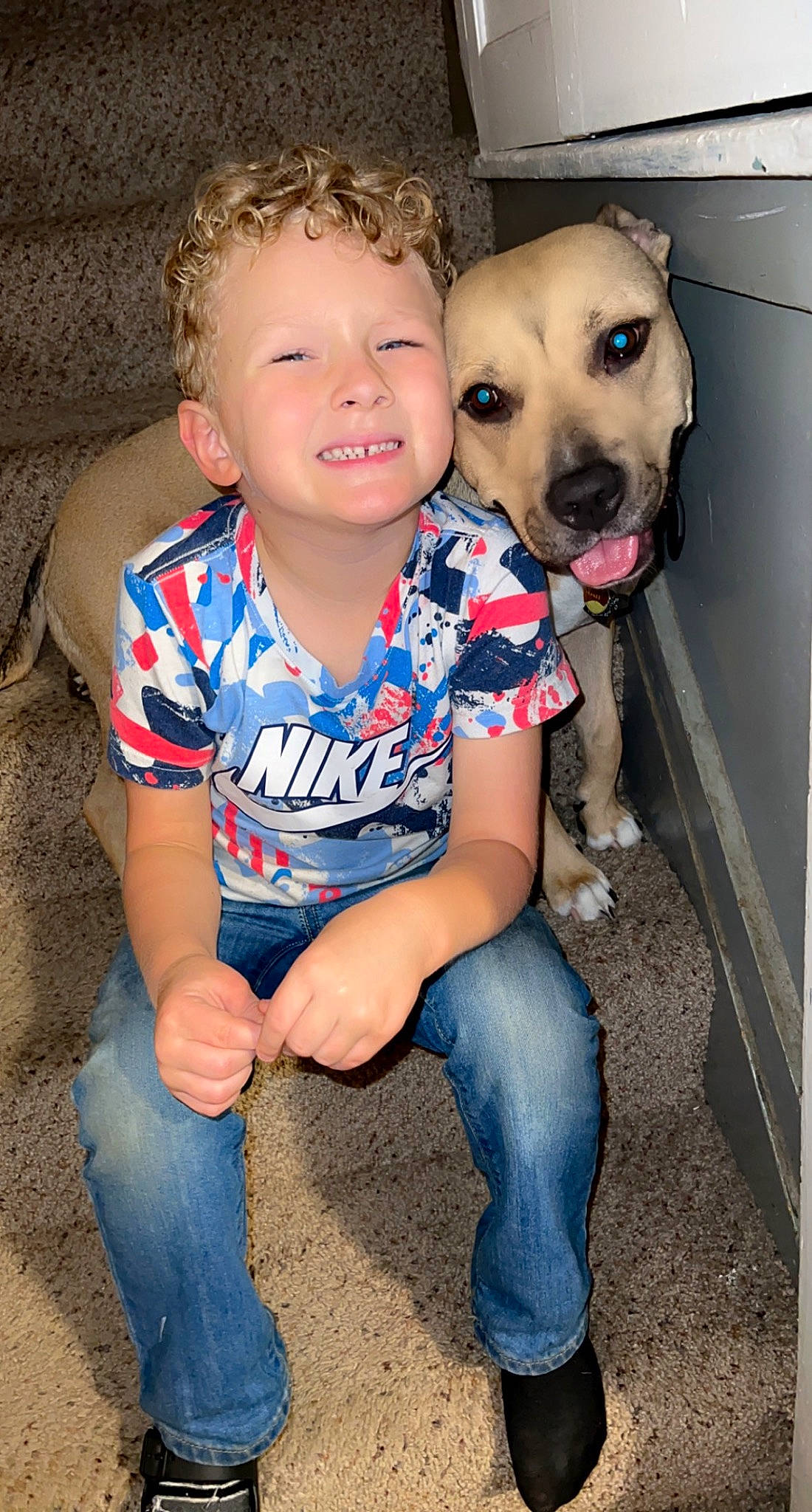 Tristan is registered to the contest to win money with this photo: blue, carnivore, companion_dog, dog, dog_breed, electric_blue, fawn, foot, happy, head, human_leg, jeans, joy, leg, nose, organ, person, sitting, skin, smile