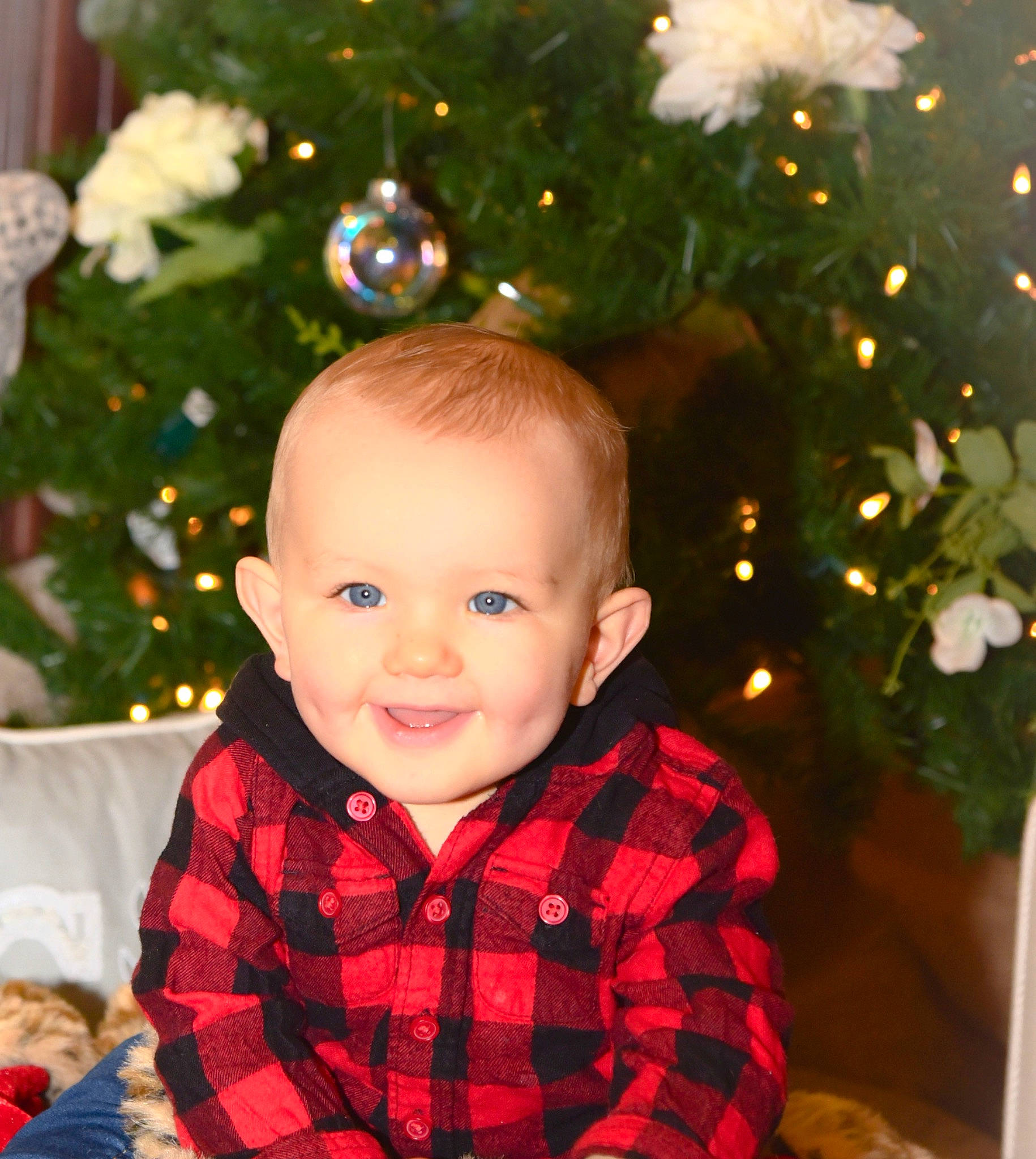 Kysen is registered to the contest to win money with this photo: baby_toddler_clothing, cheek, christmas_decoration, christmas_ornament, christmas_tree, eye, facial_expression, hairstyle, happy, holiday_ornament, iris, joy, organ, person, plaid, skin, sleeve, smile, standing, tartan