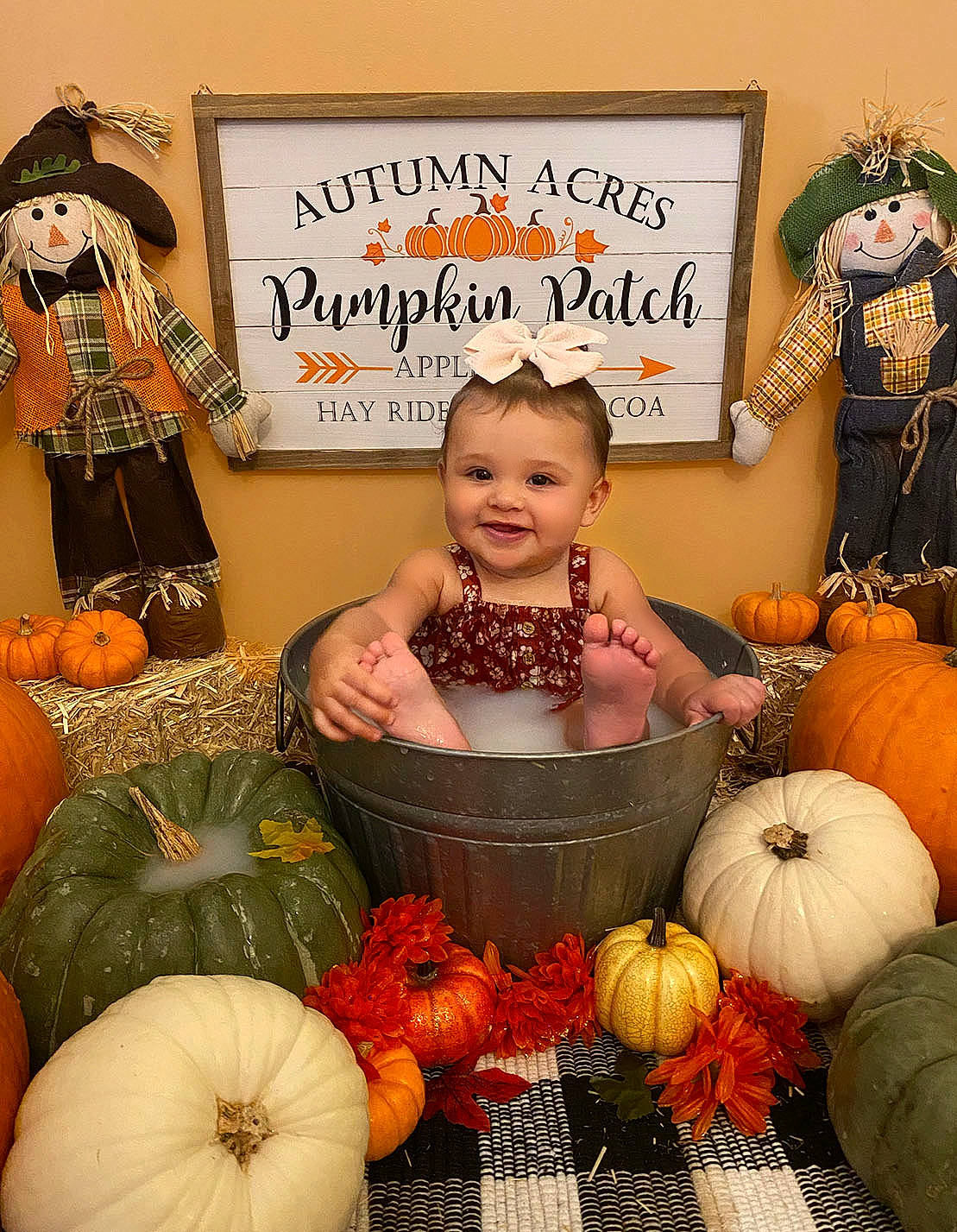 Akira joined the competition — help win amazing prizes! calabaza, child, cucurbita, fruit, gourd, happy, joy, local_food, natural_foods, orange, person, picture_frame, plant, produce, pumpkin, smile, squash, superfood, toddler, vegetable