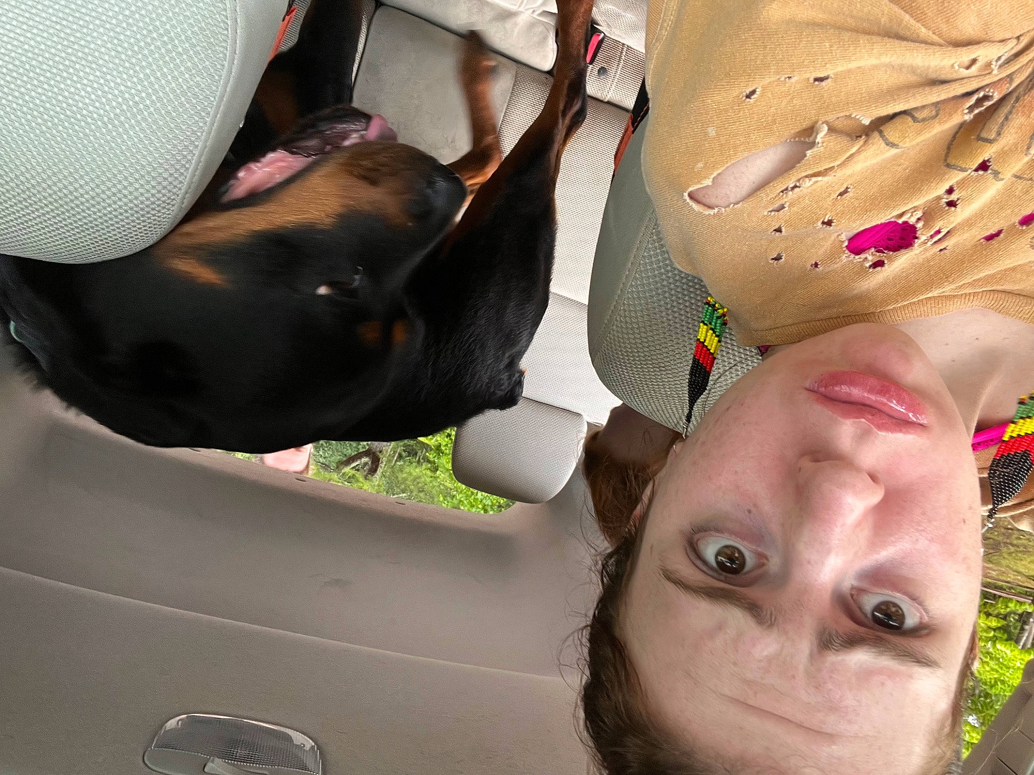 Remi is registered to the contest to win money with this photo: auto_part, carnivore, chest, dog, dog_breed, eyelash, eyewear, fashion_accessory, fawn, glasses, happy, hat, human_leg, mammal, pattern, selfie, sunglasses, vehicle_door, vertebrate, vision_care