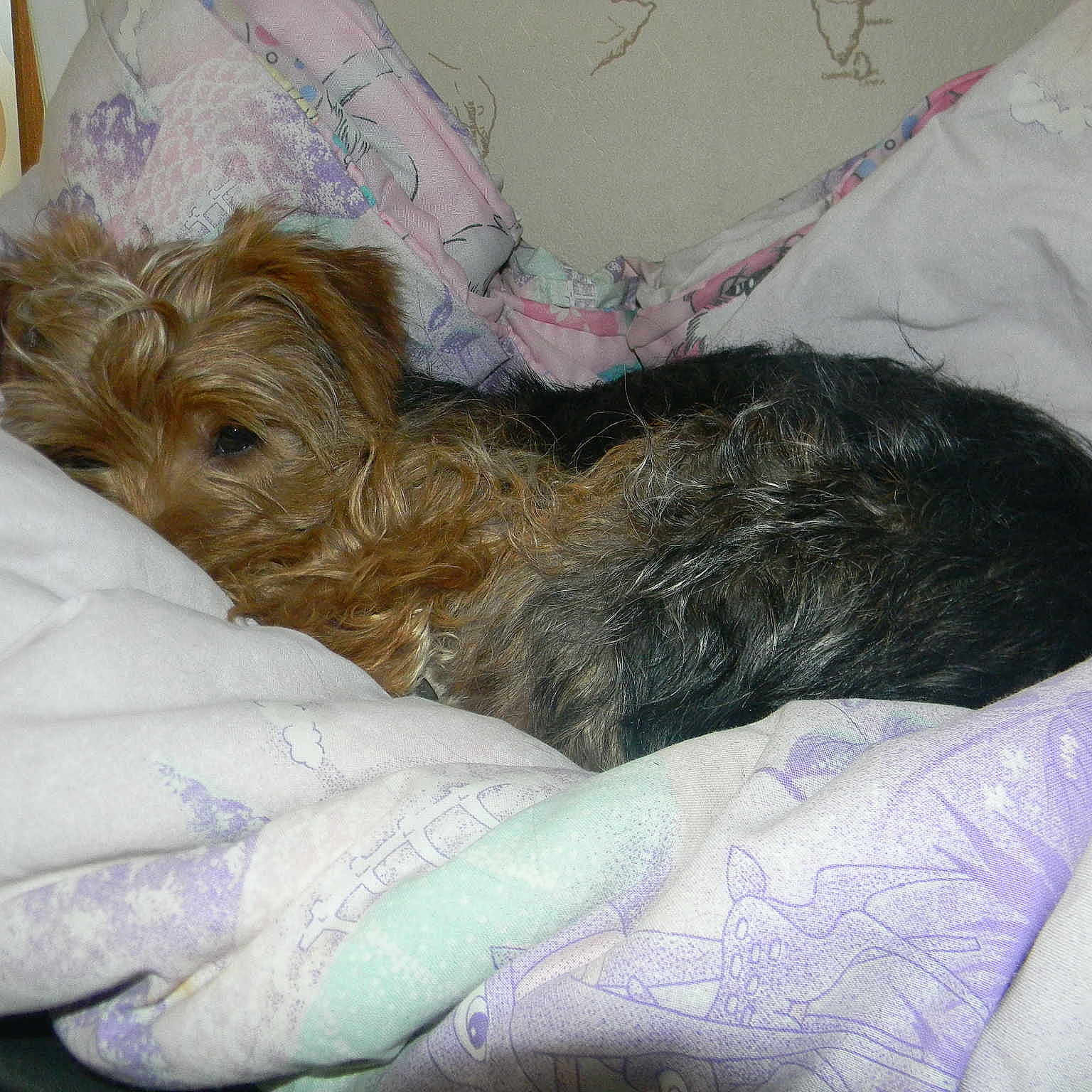 Happy a rejoint le concours — aidez-le/la à gagner de superbes lots !