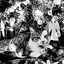 cat, tabby, christmas_tree, ornaments, lights, bokeh, blanket, festive, holiday, indoor, cozy, animal, pet, relaxing, soft_focus, decoration, feline, winter, celebration, sparkle