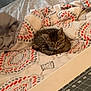 kitten, cat, bed, blanket, patterned_blanket, sleeping, cozy, indoor, tabby, pet, feline, cute, resting, soft, young_cat, animal, comfort, domestic_cat, fur, small