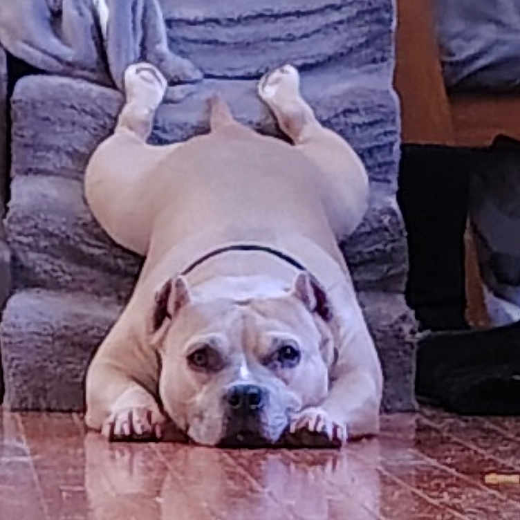 Nala