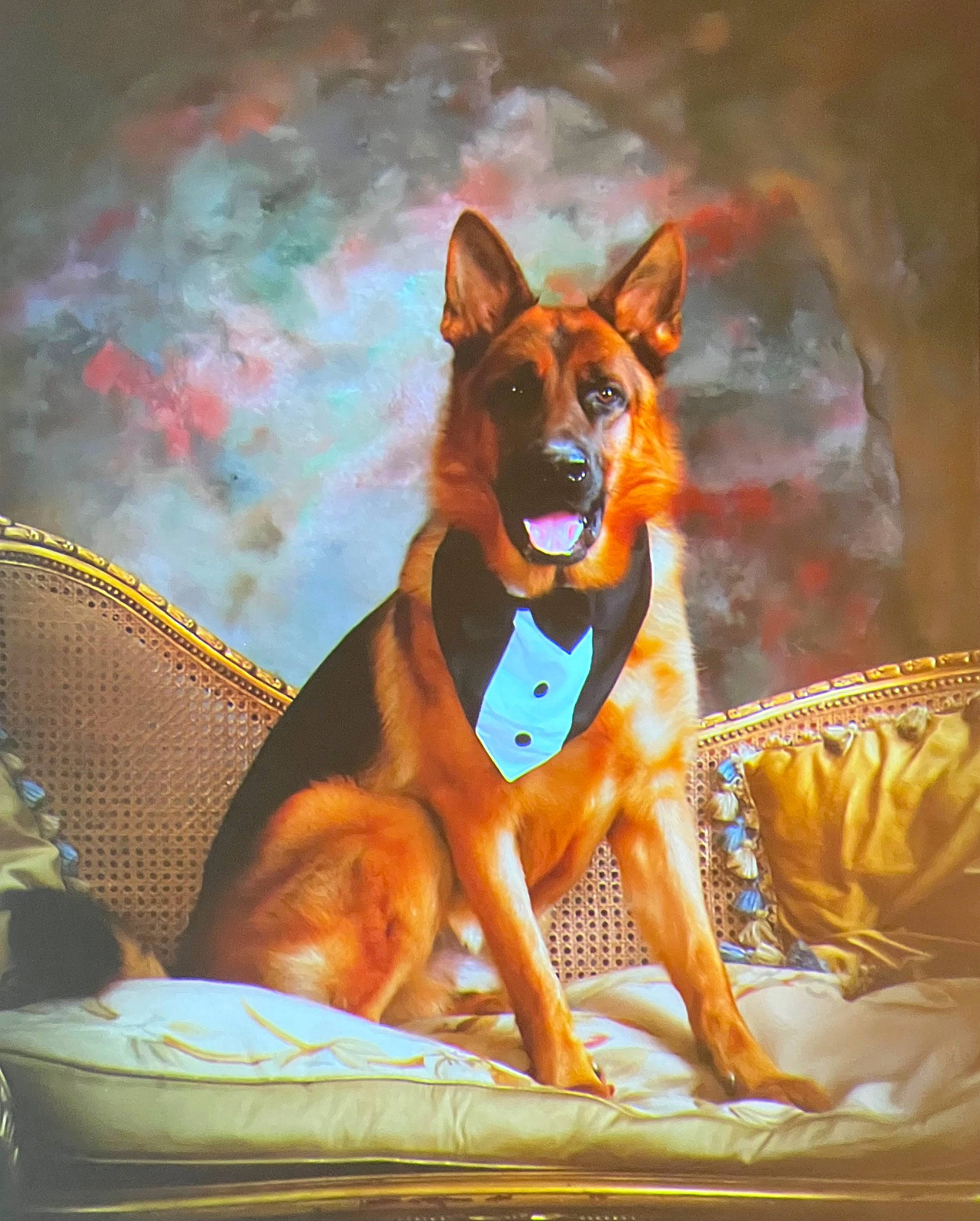 Kobe joined the competition — help win amazing prizes! ancient_dog_breeds, art, canidae, canis, carnivore, companion_dog, dog, dog_breed, fawn, guard_dog, herding_dog, illustration, painting, snout, spitz, sporting_group, visual_arts, whiskers, window, working_dog