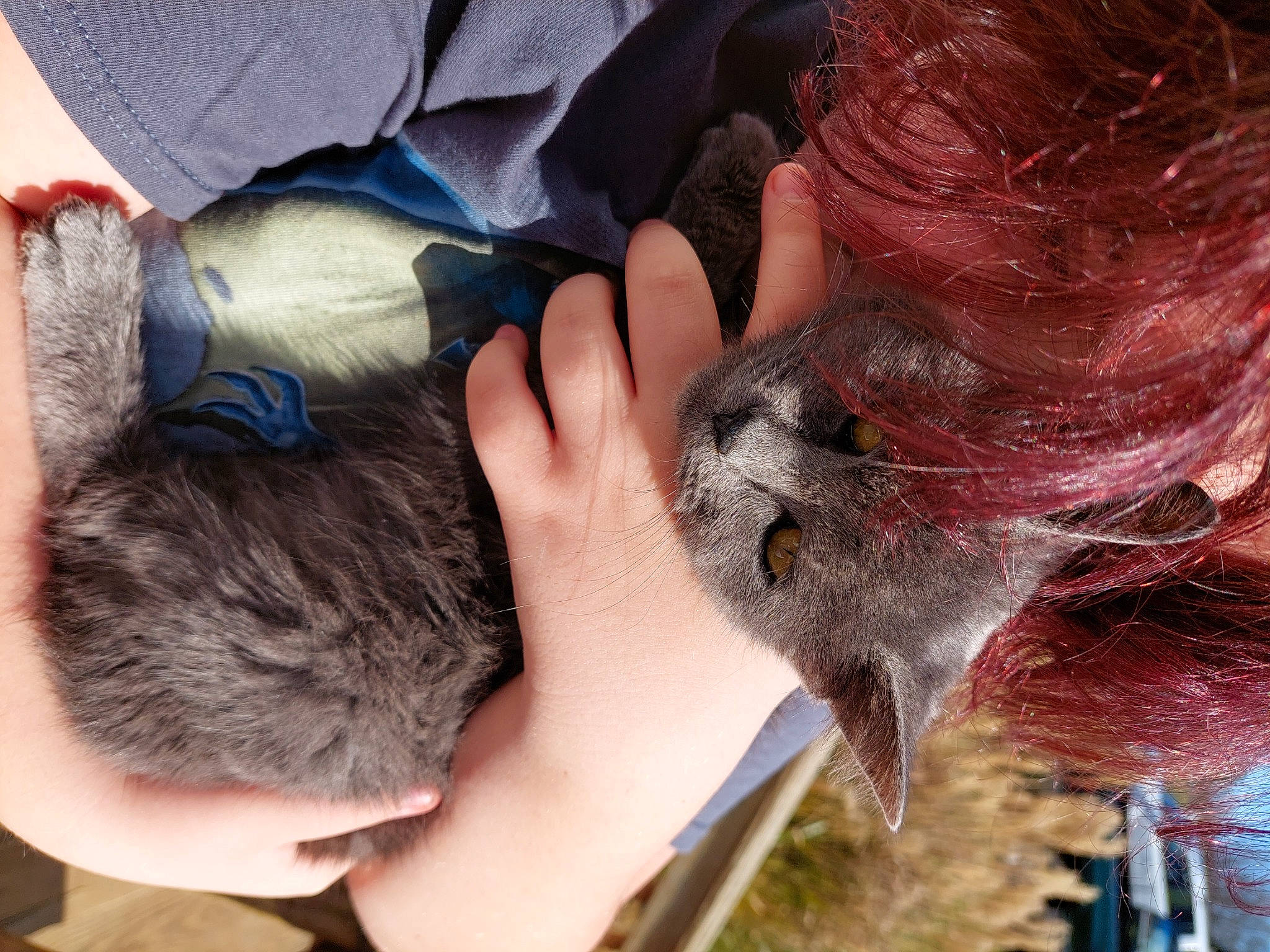 Smoki is registered to the contest to win money with this photo: comfort, eyelash, finger, flesh, fur, gesture, hair_coloring, human_leg, liver, mammal, nail, sporting_group, textile, thumb, vertebrate, wrinkle, wrist