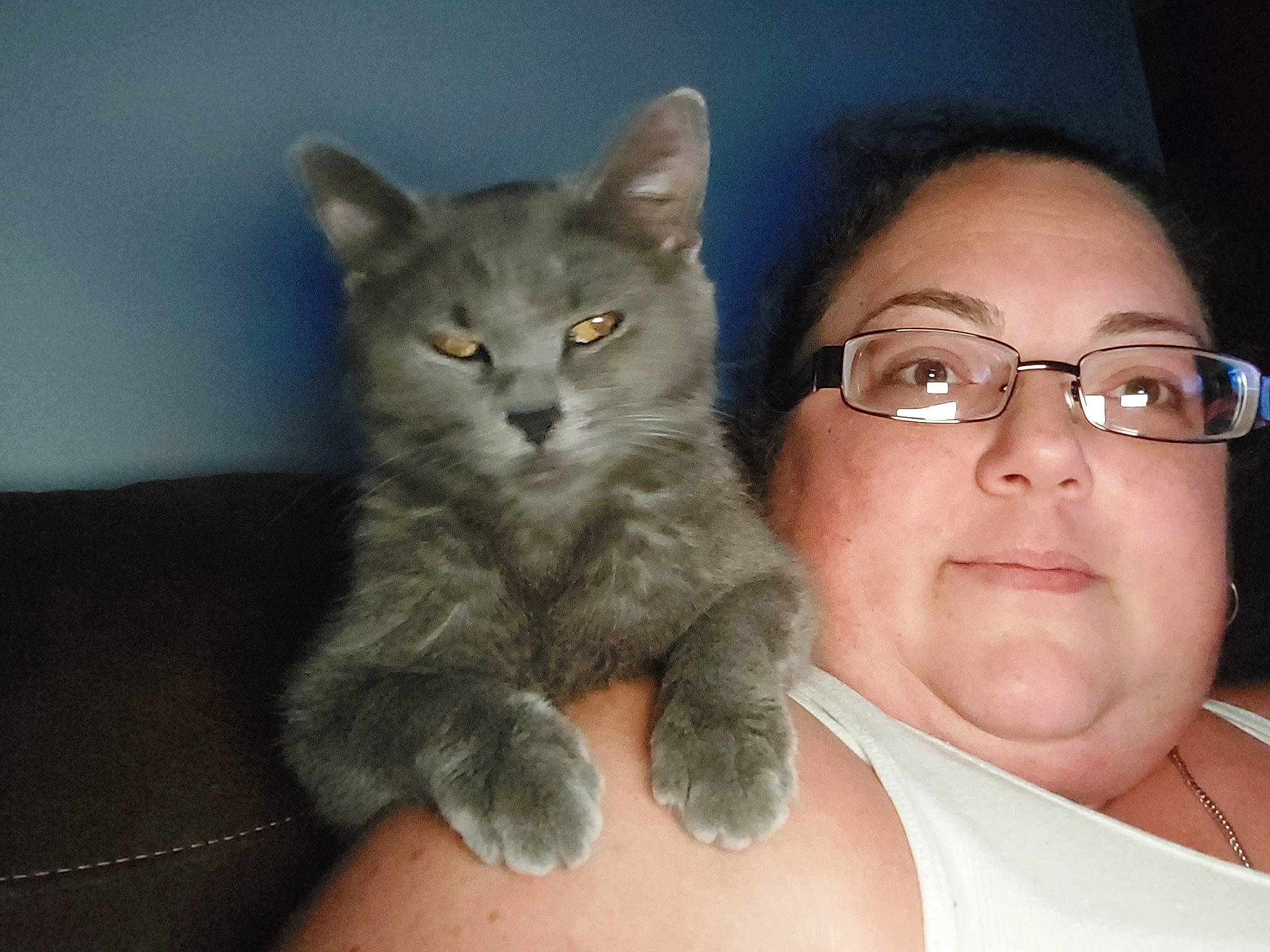 Smoki joined the competition — help win amazing prizes! carnivore, cat, comfort, domestic_short_haired_cat, ear, eye, eyewear, fawn, felidae, fur, gesture, glasses, hair, head, iris, nose, small_to_medium_sized_cats, snout, vision_care, whiskers