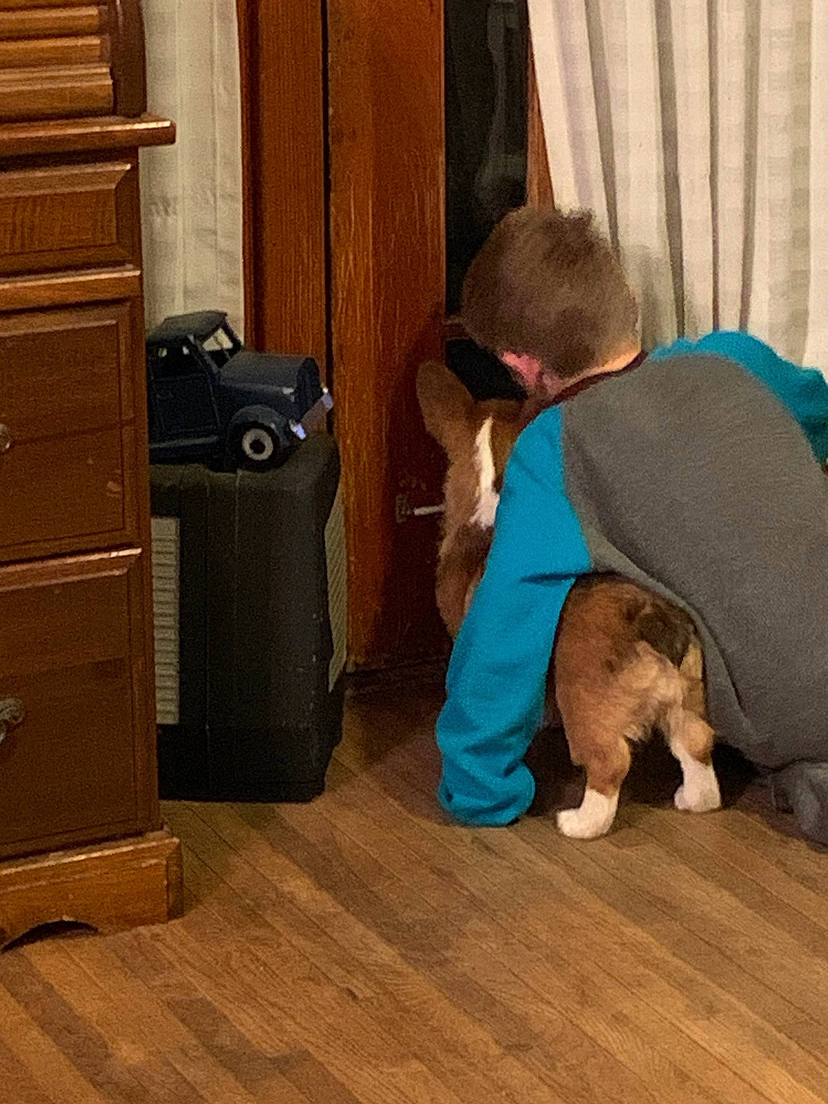 Remington is registered to the contest to win money with this photo: bag, cabinetry, chest_of_drawers, comfort, companion_dog, cupboard, curtain, door, drawer, floor, flooring, hardwood, home_appliance, laminate_flooring, luggage_and_bags, room, toddler, wood, wood_flooring, wood_stain