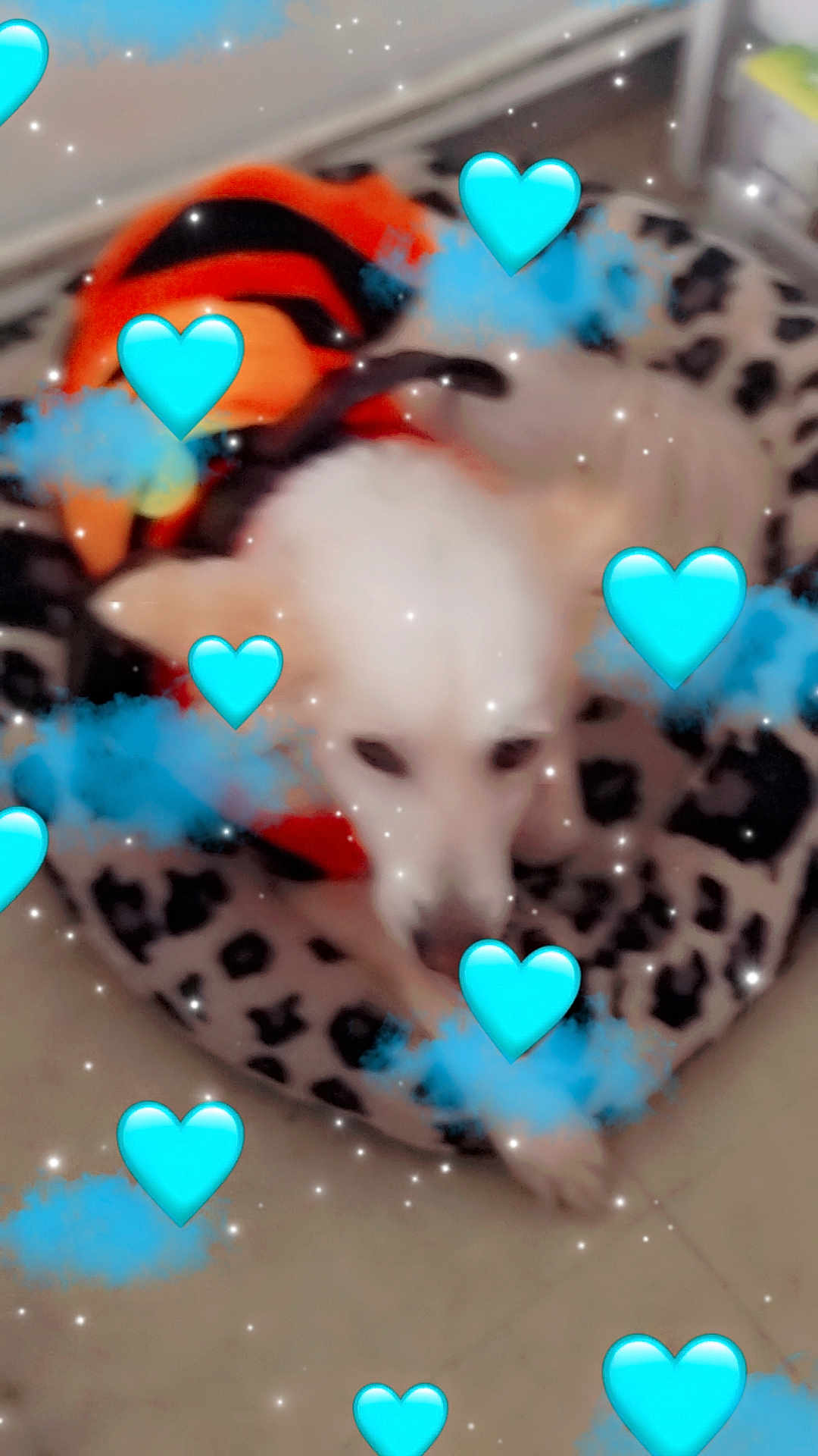 Jessie