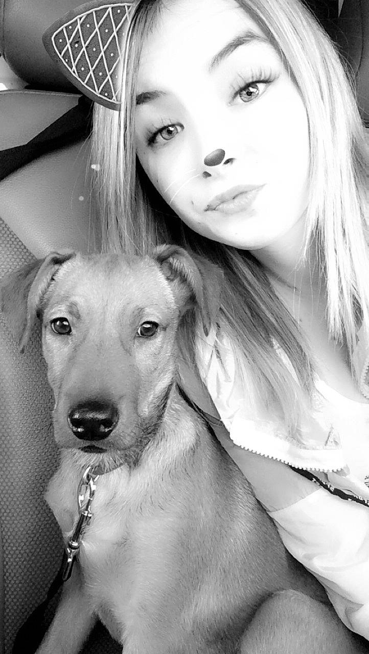 Icko a rejoint le concours — aidez-le/la à gagner de superbes lots ! beauty, black_and_white, blond, canidae, carnivore, companion_dog, dog, dog_breed, eye, fawn, long_hair, lurcher, monochrome, person, photography, saluki, smile, sporting_group, whiskers